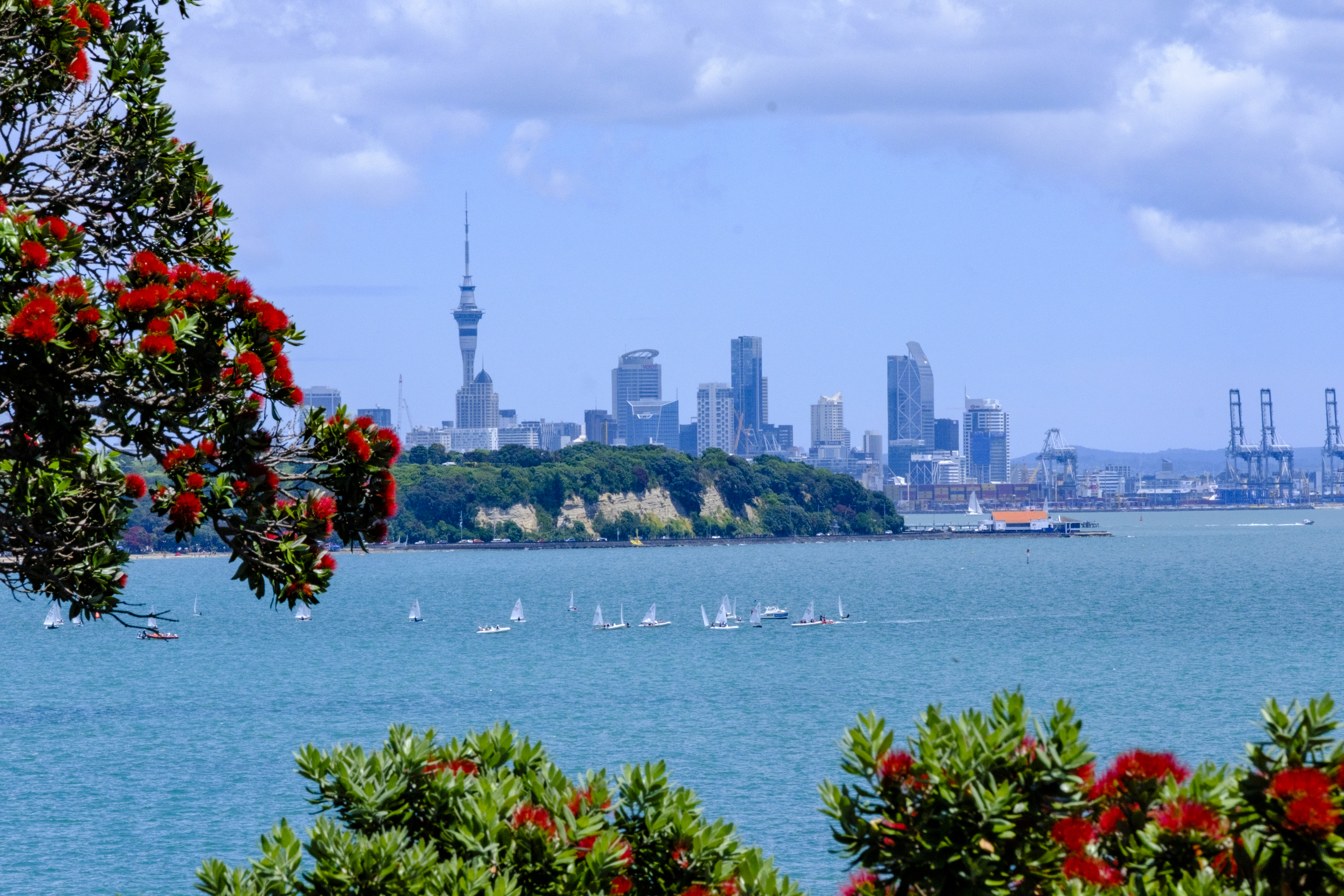 AucklandDaily20211211 0008