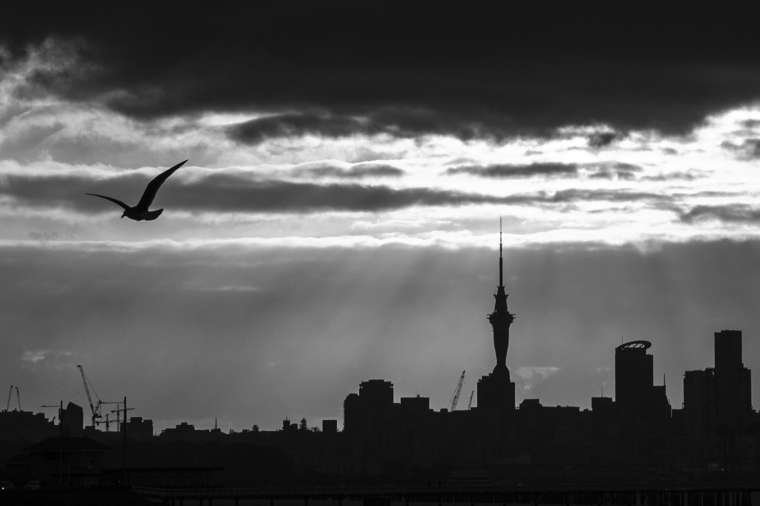 AucklandEvening20211010 0020